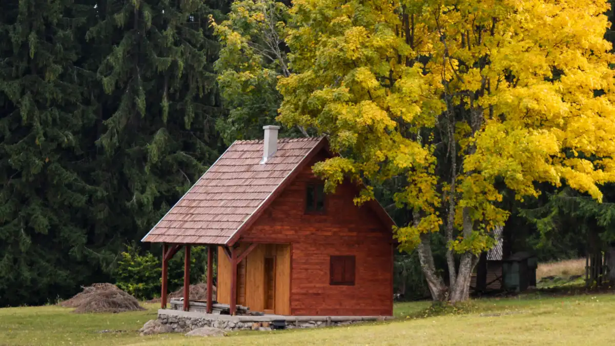Dřevěná chata v lese na podzim
